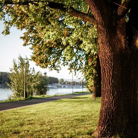 Aparthotel Yokolou - Design-apartments 3*